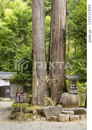 湯村温泉 八幡神社 110515995