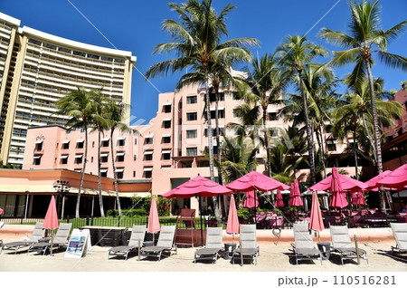 ピンクパレス 110516281