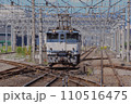 電気機関車　EF65 2050号機　回想 110516475