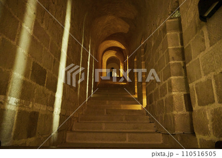 モンサンミッシェルに続く道 110516505