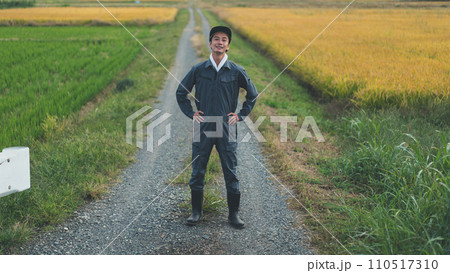 rice farming rice farming 110517310
