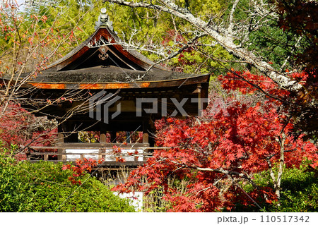 長岳寺　紅葉　奈良県 110517342