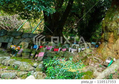 長岳寺　紅葉　奈良県 110517353