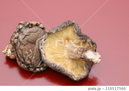 干しシイタケ 110517560