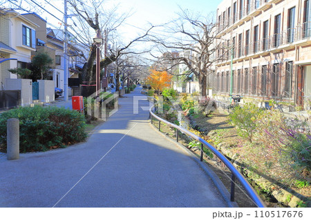 北沢川緑道　世田谷区　 110517676