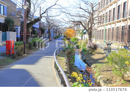 北沢川緑道 世田谷区 北沢川緑道 世田谷区 110517678