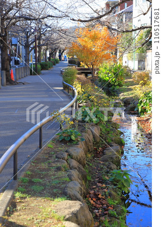北沢川緑道　世田谷区　 110517681