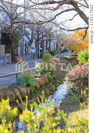 北沢川緑道　世田谷区　 110517682