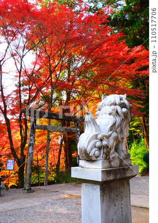 大矢田神社もみじ谷 大矢田神社もみじ谷 110517706
