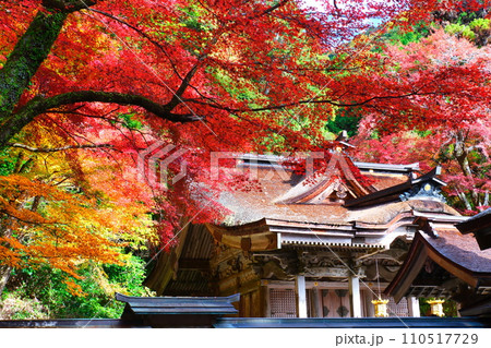 大矢田神社もみじ谷 110517729