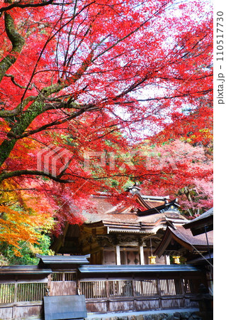 大矢田神社もみじ谷 大矢田神社もみじ谷 110517730