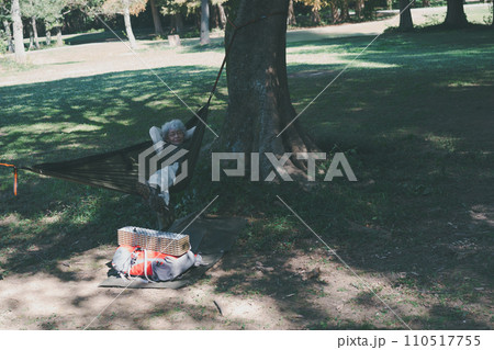 camping camping 110517755