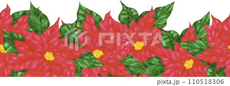 Hand drawn watercolor poinsettia seamless border isolated on white background. Can be used for label, tape, decoration and other printed products. Hand drawn watercolor poinsettia seamless border isolated on white background. Can be used for label, tape, decoration and other printed products. 110518306