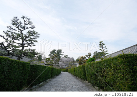 三重県松阪市_御城番屋敷8_2023_4月 110518523