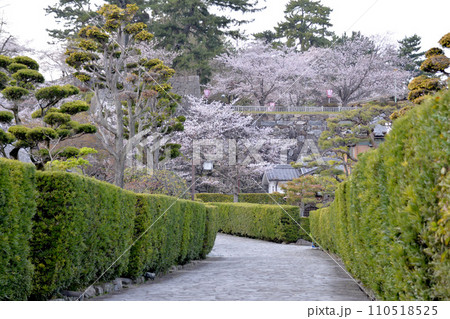 三重県松阪市_御城番屋敷2_2023_4月 三重県松阪市_御城番屋敷2_2023_4月 110518525