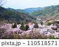高台から望む高遠城址公園の満開の桜 110518571
