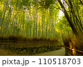 京都嵐山　竹林の小径を西端付近から 110518703