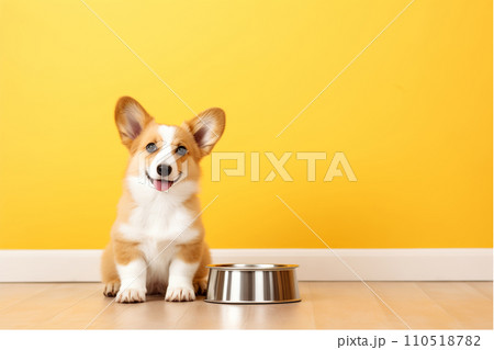 Cute corgi dog sitting near a bowl on yellow background Generative AI Cute corgi dog sitting near a bowl on yellow background Generative AI 110518782