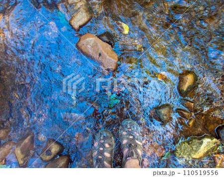 Womans feet in hiking sandals in idyllic flowing stream reflecting sky 110519556