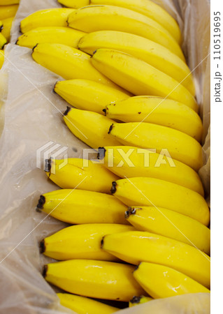 Lots of banana branches in a cardboard box for sale. 110519695