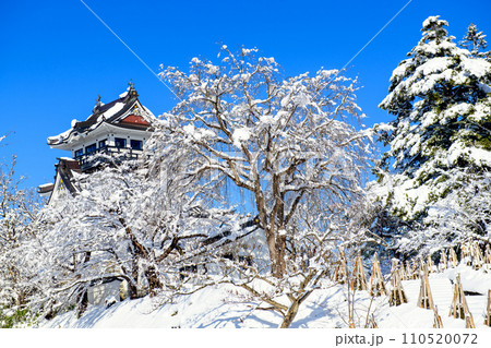 雪化粧した枝垂れ桜と横手城 冬晴れの横手城公園 秋田県 雪化粧した枝垂れ桜と横手城 冬晴れの横手城公園 秋田県 110520072