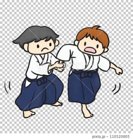 合気道をする男の子 110520805