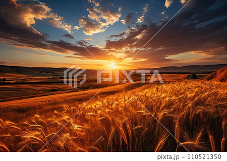 Wheat field. Ears of golden wheat close up. Beautiful Rural Scenery sunset and blue sky. Background of ripening ears of meadow wheat field. Generative AI Wheat field. Ears of golden wheat close up. Beautiful Rural Scenery sunset and blue sky. Background of ripening ears of meadow wheat field. Generative AI 110521350