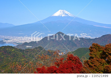 伊豆パノラマパークからの富士山 伊豆パノラマパークからの富士山 110521499