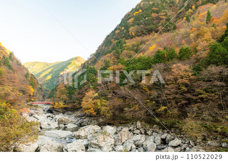 紅葉満開! 秋の奈良県天川村みたい渓谷 紅葉満開! 秋の奈良県天川村みたい渓谷 110522029