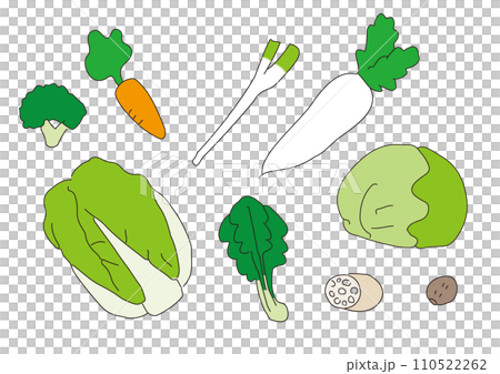 Hand drawn illustration set of winter vegetables Hand drawn illustration set of winter vegetables 110522262