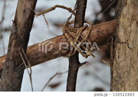 冬のブッシュクラフトキャンプ 110522863