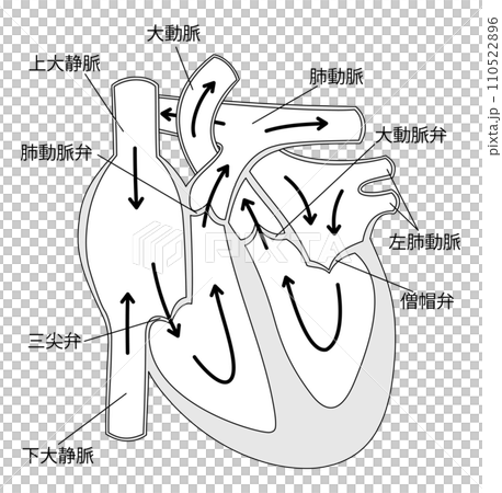 心截面4黑白 110522896