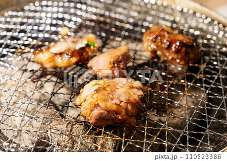 焼肉 ホルモン 110523386