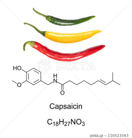 Cayenne chili peppers, and capsaicin chemical formula and structure. Capsaicin is the active component and chemical irritant in chili peppers, and as spice in food it provides spiciness and piquancy.  110523563