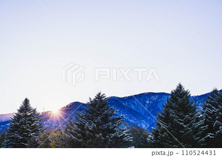 夕日が射す冬の自然風景 110524431