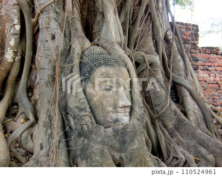 タイ・アユタヤ遺跡・ワットプラマハータート 110524961