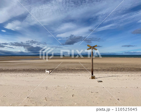 Old rusty sign and lonely dog Old rusty sign and lonely dog 110525045