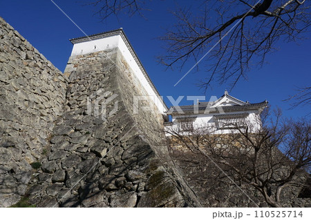 岡山県津山市にあるさくら名所100選のひとつ「鶴山公園(津山城趾)」:備中やぐら 岡山県津山市にあるさくら名所100選のひとつ「鶴山公園(津山城趾)」:備中やぐら 110525714