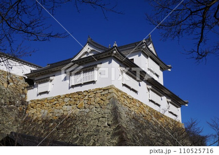 岡山県津山市にあるさくら名所100選のひとつ「鶴山公園(津山城趾)」:備中やぐら 岡山県津山市にあるさくら名所100選のひとつ「鶴山公園(津山城趾)」:備中やぐら 110525716