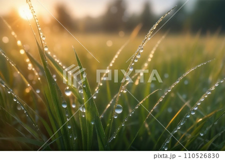 Bright background of shiny dew drops on spring green grass. AI Bright background of shiny dew drops on spring green grass. AI 110526830