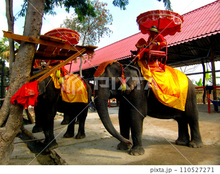 タイ・アユタヤ遺跡・エレファントツアー 110527271