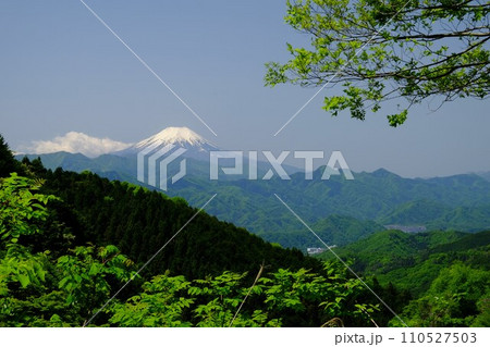 新緑の陣馬街道から望む富士山　【相模原市津久井　5月】 110527503