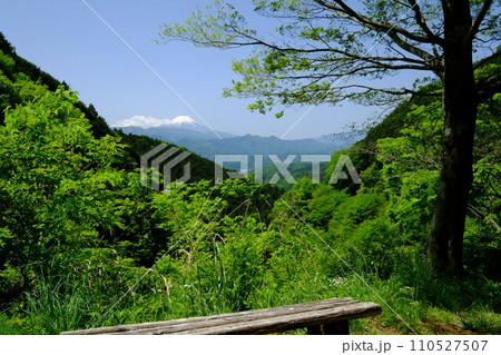 新緑の陣馬街道から見る残雪の富士山 【相模原市津久井 5月】 新緑の陣馬街道から見る残雪の富士山 【相模原市津久井 5月】 110527507