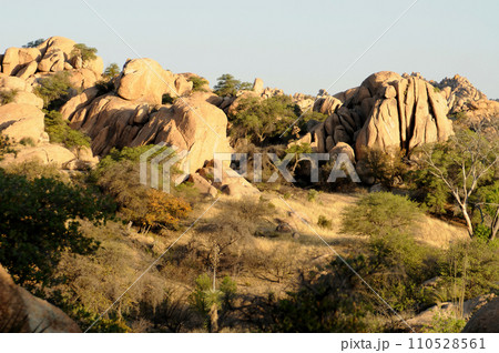 Texas Canyon Sonora Desert Arizona Texas Canyon Sonora Desert Arizona 110528561
