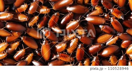 Seamless texture pattern and background of pile of cockroaches. Insectophobia, Blattophobia and blattoptera concept. Blattopterologist, Dictyopterology. AI Seamless texture pattern and background of pile of cockroaches. Insectophobia, Blattophobia and blattoptera concept. Blattopterologist, Dictyopterology. AI 110528946