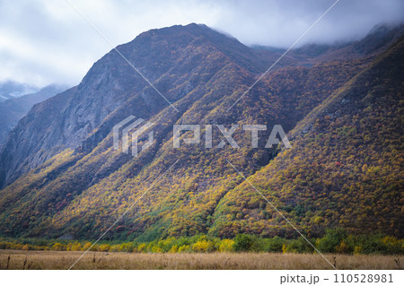 Autumn mountain landscape Autumn mountain landscape 110528981