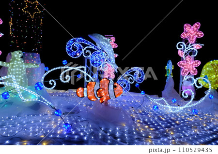 海のイルミネーション 海のイルミネーション 110529435