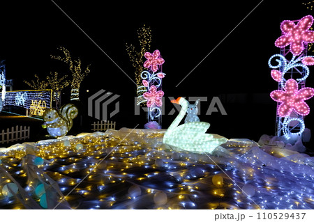 白鳥のイルミネーション 白鳥のイルミネーション 110529437