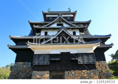 【島根県】快晴下の松江城天守閣(国宝) 【島根県】快晴下の松江城天守閣(国宝) 110529533