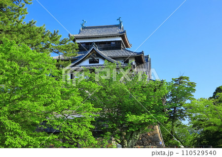 【島根県】快晴下の松江城天守閣(国宝) 【島根県】快晴下の松江城天守閣(国宝) 110529540